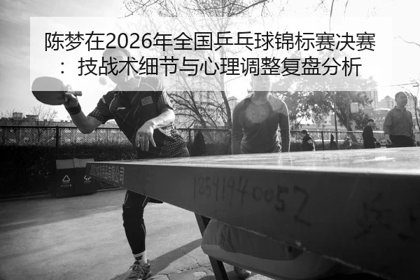 chen-meng-zai-nian-quan-guo-ping-pang-qiu-jin-biao-sai-jue-sai-ji-zhan-shu-xi-jie-yu-xin-li-tiao-zheng-fu-pan-fen-xi-2-814.jpg