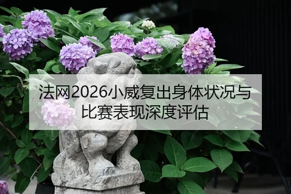 fa-wang-xiao-wei-fu-chu-shen-ti-zhuang-kuang-yu-bi-sai-biao-xian-shen-du-ping-gu-2-925.jpg